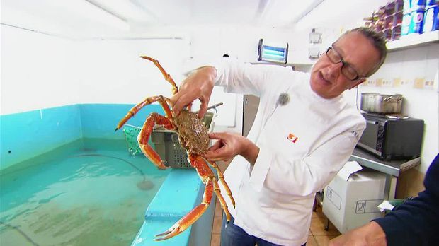 Abenteuer Leben - Täglich - Mittwoch: Mission Seafood: Das Paradies Auf Jersey