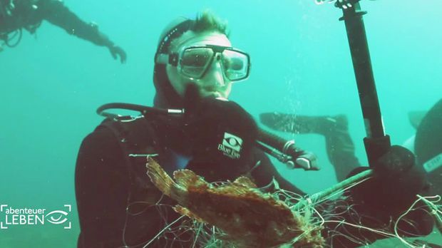 Abenteuer Leben - Täglich - Freitag: Healthy Seas - Im Kampf Gegen Geisternetze