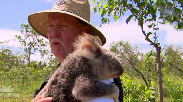 Tamme Hanken - Tamme Kuschelt In Australien Mit Koalabären